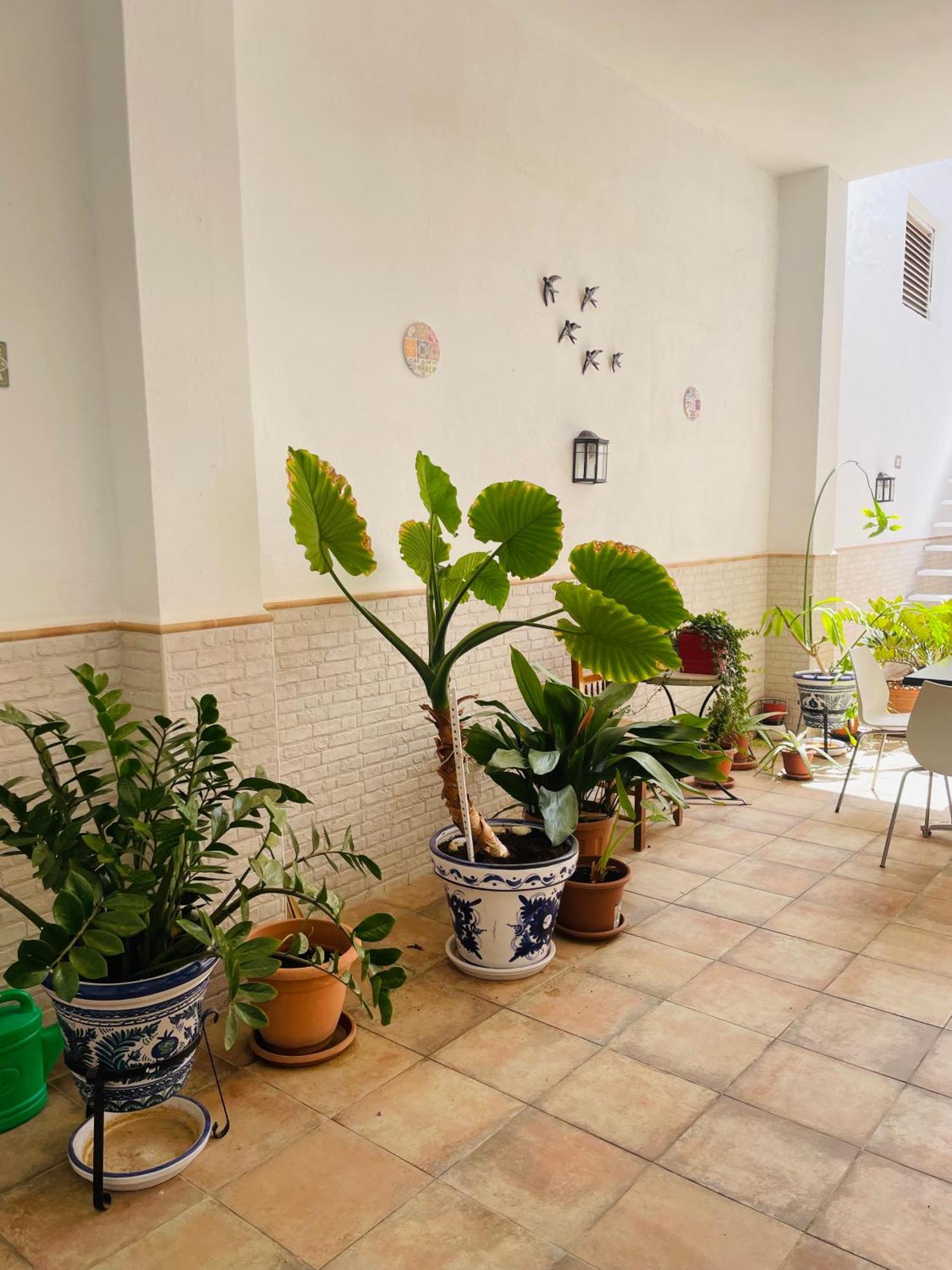 Patio De Los Barberos Valle de Abdalagis ภายนอก รูปภาพ